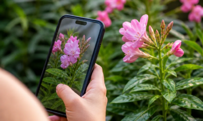 Identifique Plantas com Foto: App Gratuito